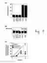 Fig. 07 - RTD receptor