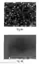 Fig. 07 - Transparent conductive films and processes for forming them
