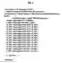Fig. 03 - Generic data stream description