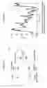 Fig. 08 - Method and apparatus for performing in-vivo blood analysis using raman spectrum