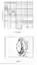 Fig. 02 - Method and device for optical ophthalmic therapy