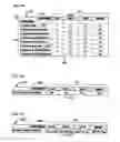 Fig. 04 - Apparatus, system and method for adjusting a set of actual power states according to a function depending on a set of desired power states