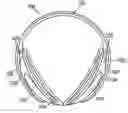 Fig. 01 - Protective ear appliance