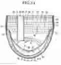 Fig. 12 - Disposable wearing article