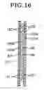 Fig. 17 - Disposable wearing article