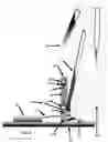 Fig. 12 - Electronic drum pedal