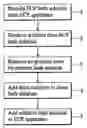 Fig. 01 - Method and apparatus for stabilizing plating film impurities