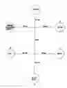 Fig. 01 - High throughput screening assay systems in microscale fluidic devices