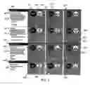 Fig. 02 - Marketing and selling athletic apparel based upon performance characteristics