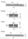 Fig. 09 - Circuit device and manufacturing method thereof