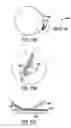 Fig. 07 - One-way transparent optical system having light absorption elements and light refracting structures