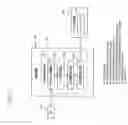 Fig. 09 - Printing apparatus