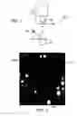 Fig. 02 - Methods, software, and apparatus for focusing an optical system using computer image analysis