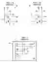 Fig. 02 - Random access memory array with parity bit structure