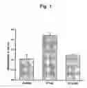 Fig. 02 - Method of improving immune function in mamals using lactobacillus reuteri strains