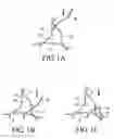 Fig. 02 - High density fibrous polymers suitable for implant