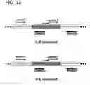 Fig. 13 - Processes for directionally ligating double stranded nucleic acids