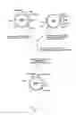 Fig. 08 - Method for specific integration of t7 rna polymerase gene in the chromosome of corynebacterial and the resultant corynebacteria-t7 promoter based shuttle vector system