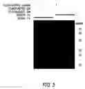 Fig. 07 - Methods for preparing highly active april ligand polypeptides