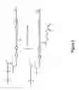 Fig. 06 - Polymer-brush modified fillers for composites