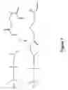 Fig. 08 - Polymer-brush modified fillers for composites