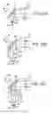 Fig. 33 - Methods and products for producing lattices of EMR-treated islets in tissues, and uses therefor