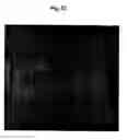 Fig. 48 - Methods and products for producing lattices of EMR-treated islets in tissues, and uses therefor