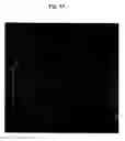 Fig. 49 - Methods and products for producing lattices of EMR-treated islets in tissues, and uses therefor