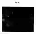 Fig. 52 - Methods and products for producing lattices of EMR-treated islets in tissues, and uses therefor