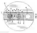 Fig. 06 - Apparatus and method for diagnosis and therapy of electrophysiological disease