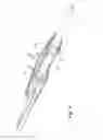 Fig. 06 - Plasma surgical device