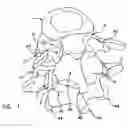 Fig. 02 - Facet joint replacement