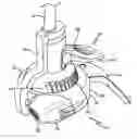 Fig. 01 - Combination string trimmer and blower tool
