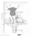 Fig. 06 - Ice bagging apparatus and method
