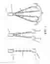 Fig. 02 - Method for collecting, distributing, and viewing inspection reports for lifting devices