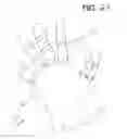 Fig. 07 - Sports glove with a segmented joint protector