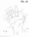 Fig. 09 - Sports glove with a segmented joint protector