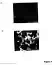Fig. 02 - Separation process