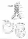 Fig. 09 - Artificial nipple with reinforcement