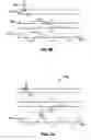 Fig. 06 - Imaging by magnetic resonance adsorption, elastography and tomography