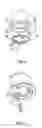 Fig. 02 - String lamp cap