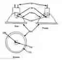 Fig. 01 - Light emitting diode replacement lamp