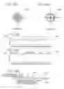 Fig. 28 - Background watermark processing