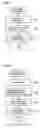 Fig. 10 - Biometric data collating apparatus, biometric data collating method and biometric data collating program product
