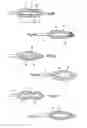 Fig. 09 - Packaging and applicator device for applying a cosmetic or another care product