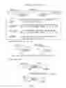 Fig. 02 - Immunotoxin derived from a recombinant human autoantibody and method of using thereof