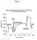 Fig. 09 - Immobilization method