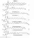 Fig. 02 - Compositions and methods for enrichment of neural stem cells using ceramide analogs