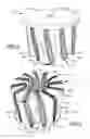Fig. 02 - ROTARY FINISHING DEVICE