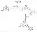 Fig. 02 - Pharmaceutical compositions for prevention of overdose or abuse